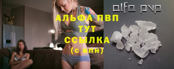трава Наволоки