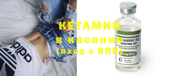 трава Наволоки